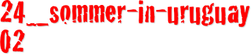 24_sommer-in-uruguay 02